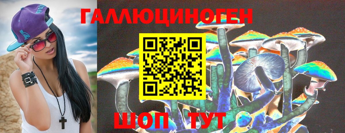 Псилоцибиновые грибы Psilocybine cubensis Уварово